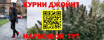 герыч Камышлов