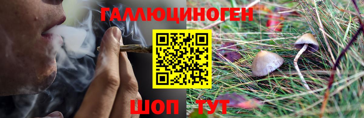 Галлюциногенные грибы ЛСД Армавир
