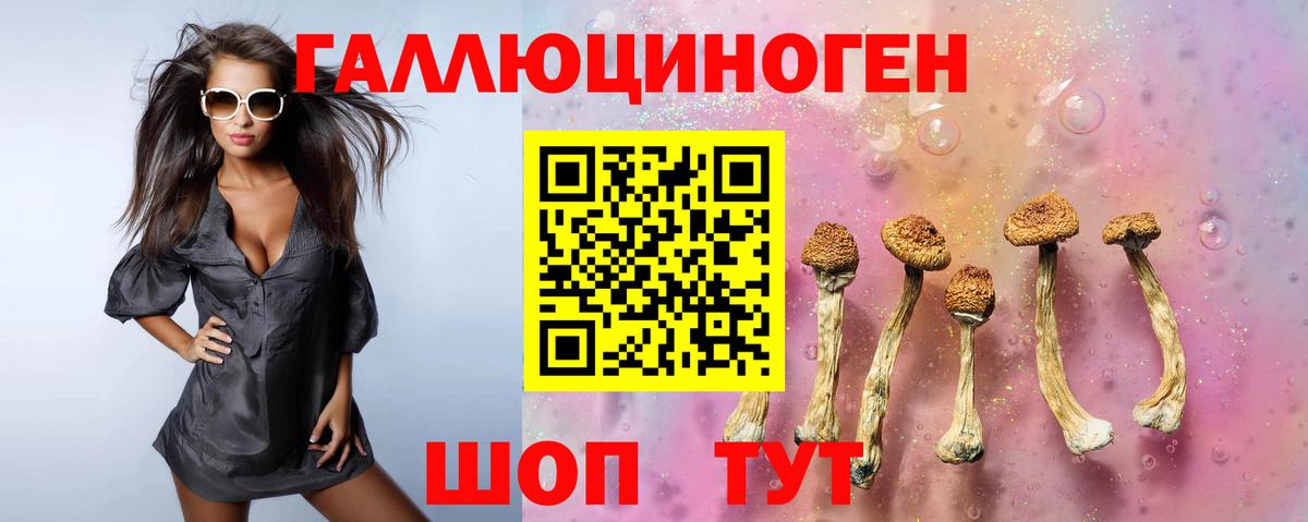 Армавир  Псилоцибиновые грибы Psilocybine cubensis  Вход с VPN 
